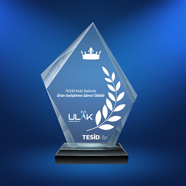 Product Development Process Award in the SME Category at TESID